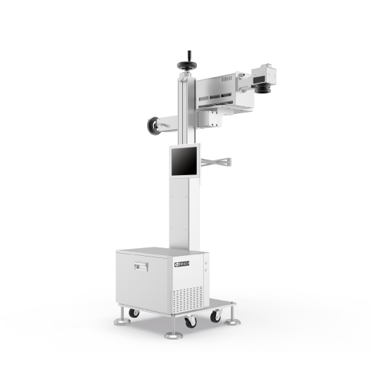 Flying-photo_resized